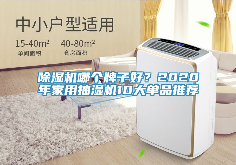 除濕機哪個牌子好？2020年家用抽濕機10大單品推薦
