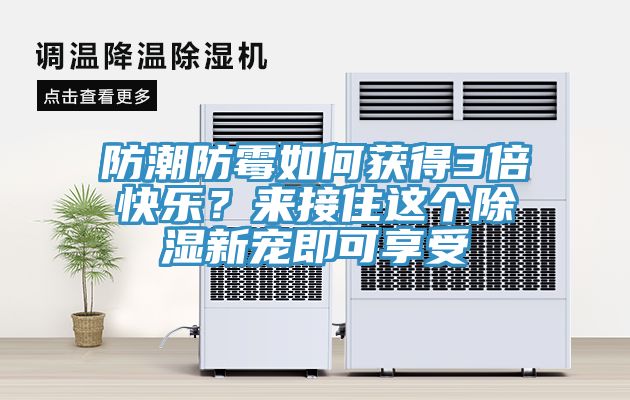 防潮防霉如何獲得3倍快樂？來接住這個除濕新寵即可享受