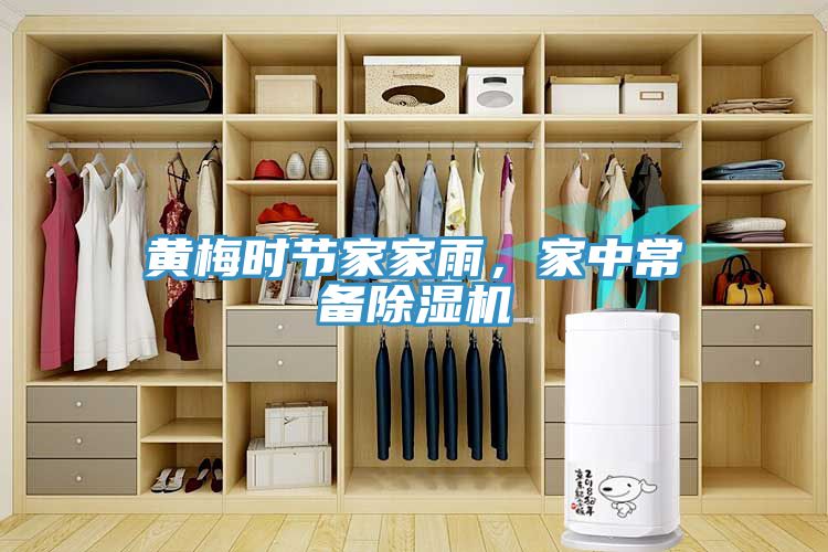 黃梅時節(jié)家家雨，家中常備除濕機