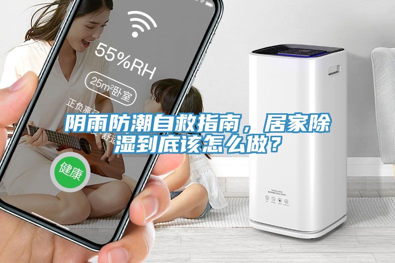 陰雨防潮自救指南，居家除濕到底該怎么做？