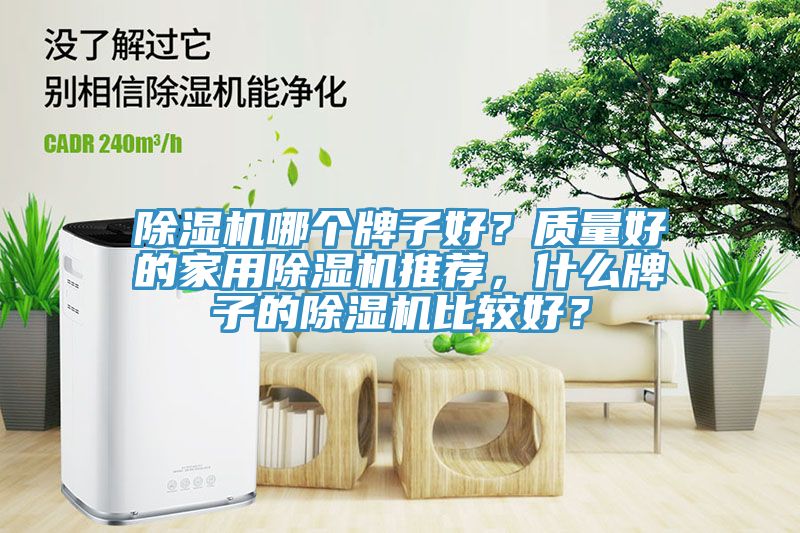除濕機哪個牌子好？質(zhì)量好的家用除濕機推薦，什么牌子的除濕機比較好？