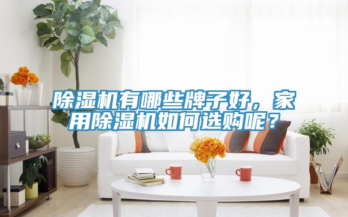 除濕機(jī)有哪些牌子好，家用除濕機(jī)如何選購(gòu)呢？