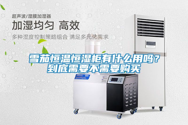 雪茄恒溫恒濕柜有什么用嗎？到底需要不需要購買