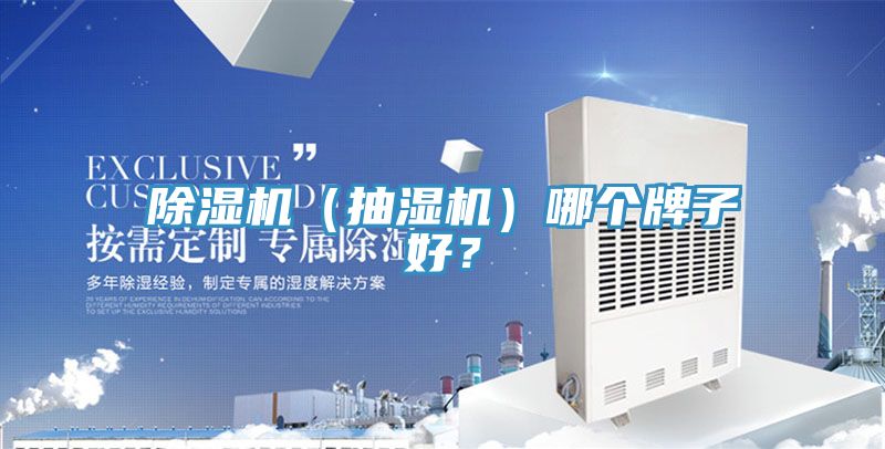 除濕機(jī)（抽濕機(jī)）哪個(gè)牌子好？