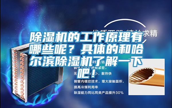 除濕機的工作原理有哪些呢？具體的和哈爾濱除濕機了解一下吧！