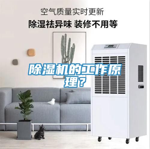 除濕機的工作原理？
