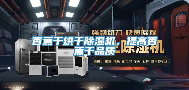 香蕉干烘干除濕機(jī)，提高香蕉干品質(zhì)
