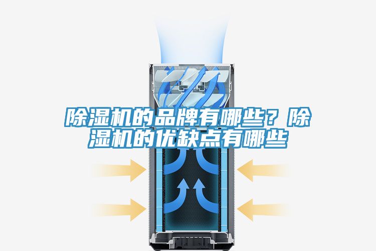 除濕機(jī)的品牌有哪些？除濕機(jī)的優(yōu)缺點(diǎn)有哪些