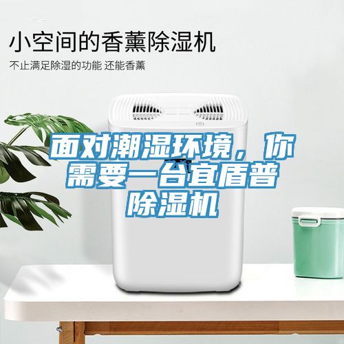 面對潮濕環(huán)境，你需要一臺宜盾普除濕機