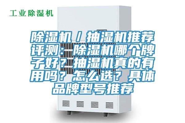 除濕機／抽濕機推薦評測：除濕機哪個牌子好？抽濕機真的有用嗎？怎么選？具體品牌型號推薦