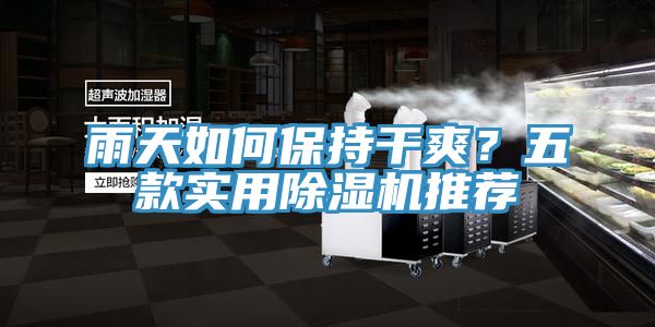 雨天如何保持干爽？五款實用除濕機推薦