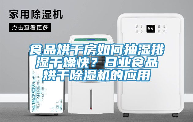 食品烘干房如何抽濕排濕干燥快？日業(yè)食品烘干除濕機(jī)的應(yīng)用