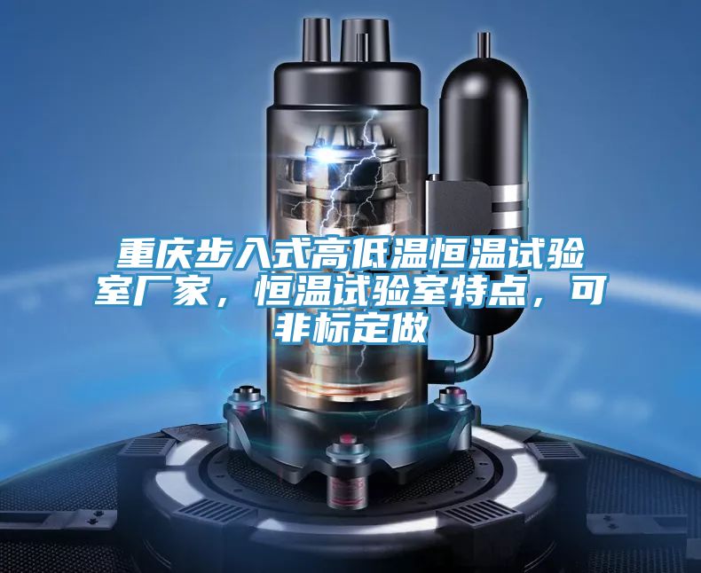 重慶步入式高低溫恒溫試驗室廠家，恒溫試驗室特點，可非標定做