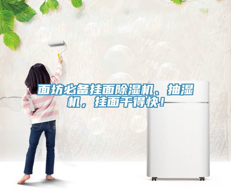 面坊必備掛面除濕機、抽濕機，掛面干得快！