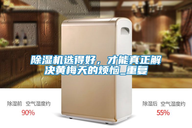除濕機選得好，才能真正解決黃梅天的煩惱_重復(fù)