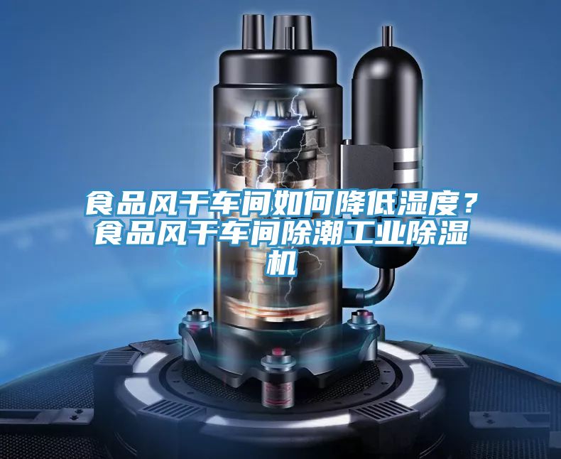 食品風(fēng)干車間如何降低濕度？食品風(fēng)干車間除潮工業(yè)除濕機(jī)