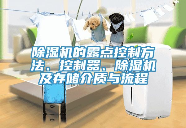 除濕機(jī)的露點(diǎn)控制方法、控制器、除濕機(jī)及存儲(chǔ)介質(zhì)與流程