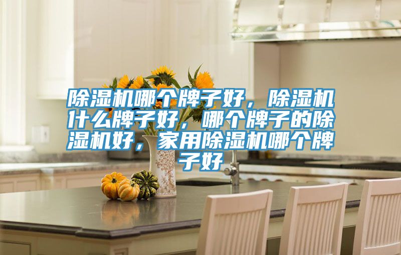 除濕機哪個牌子好，除濕機什么牌子好，哪個牌子的除濕機好，家用除濕機哪個牌子好