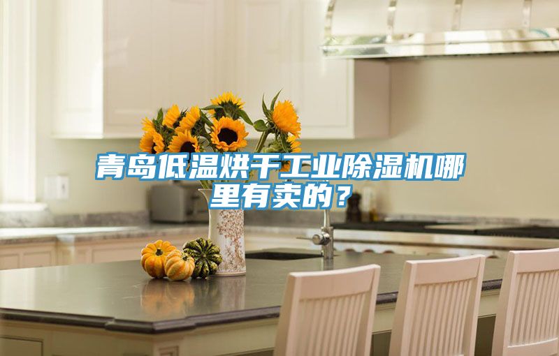 青島低溫烘干工業(yè)除濕機哪里有賣的？