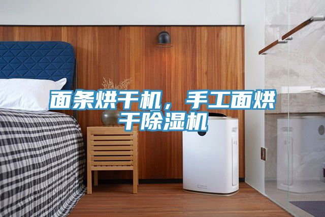 面條烘干機，手工面烘干除濕機