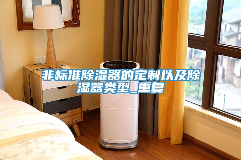 非標準除濕器的定制以及除濕器類型_重復(fù)