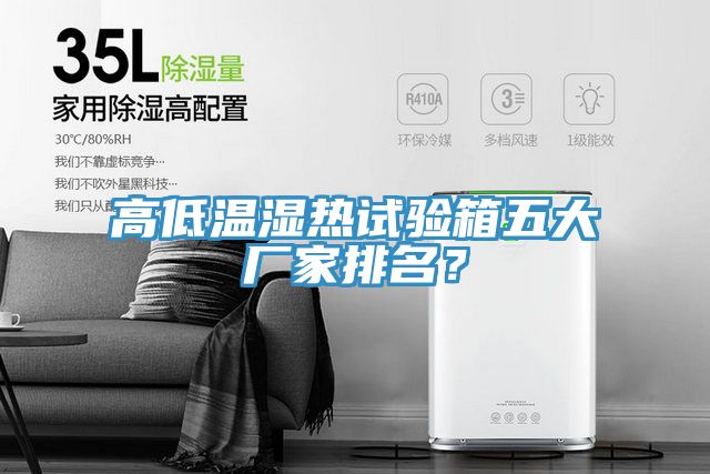 高低溫濕熱試驗(yàn)箱五大廠家排名？