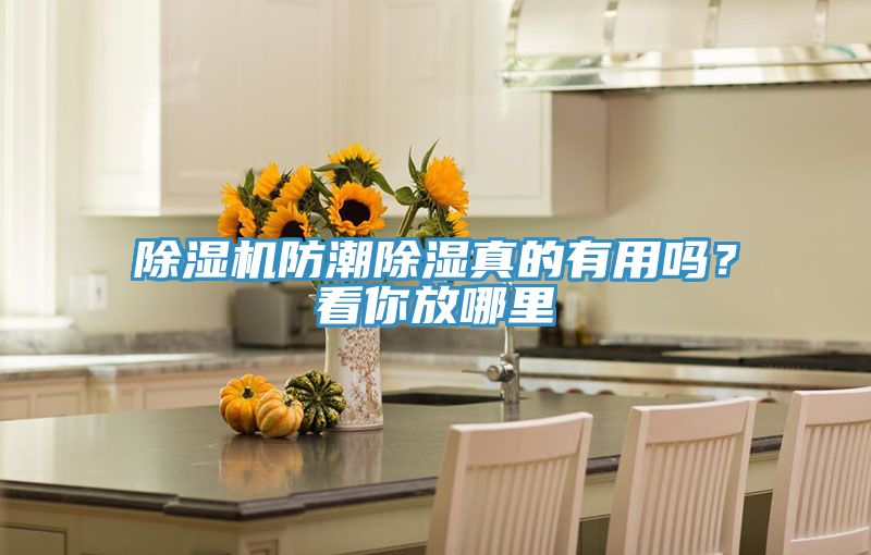除濕機(jī)防潮除濕真的有用嗎？看你放哪里