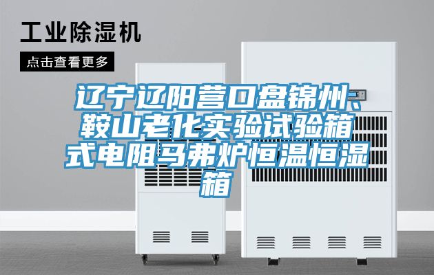遼寧遼陽營(yíng)口盤錦州、鞍山老化實(shí)驗(yàn)試驗(yàn)箱式電阻馬弗爐恒溫恒濕箱