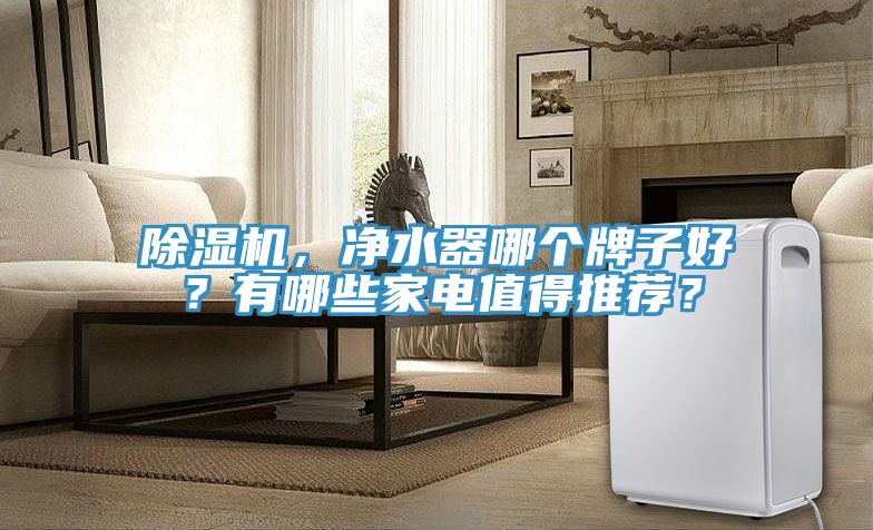 除濕機，凈水器哪個牌子好？有哪些家電值得推薦？