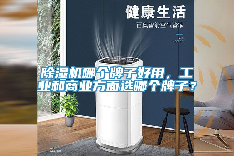 除濕機哪個牌子好用，工業(yè)和商業(yè)方面選哪個牌子？