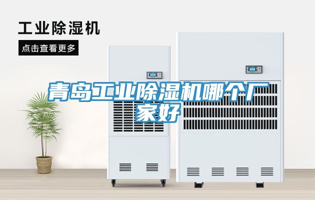 青島工業(yè)除濕機(jī)哪個廠家好