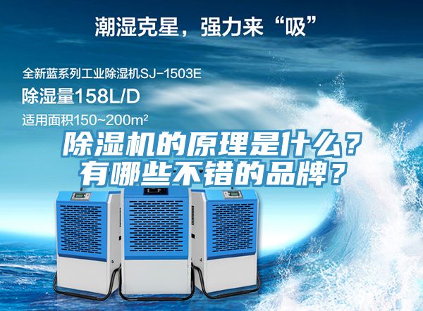 除濕機(jī)的原理是什么？有哪些不錯(cuò)的品牌？