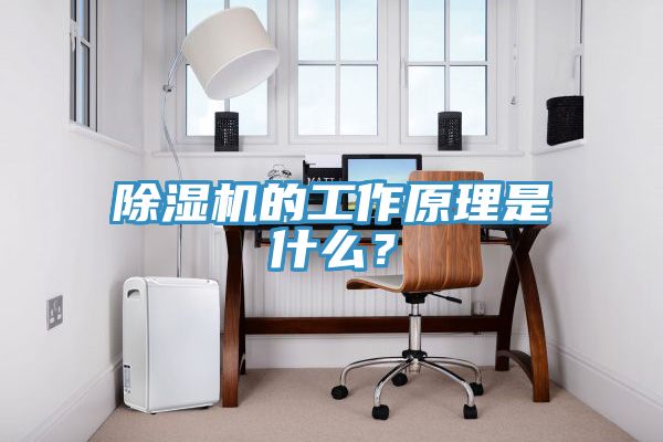 除濕機的工作原理是什么？
