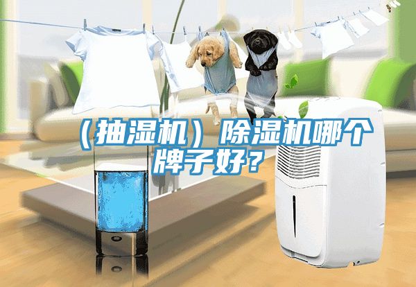 （抽濕機）除濕機哪個牌子好？