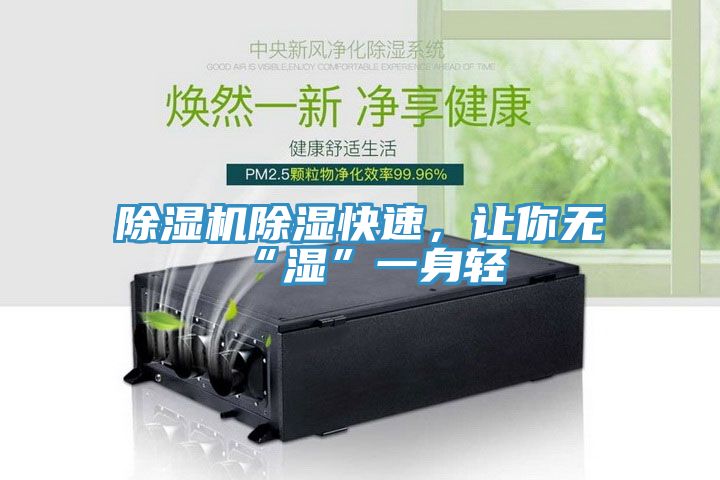 除濕機(jī)除濕快速，讓你無“濕”一身輕