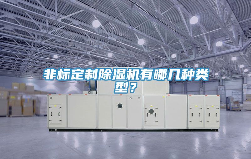 非標定制除濕機有哪幾種類型？