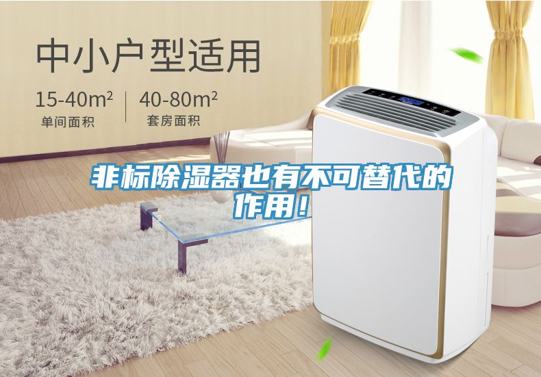 非標除濕器也有不可替代的作用！