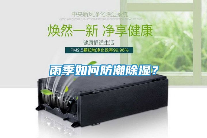 雨季如何防潮除濕？