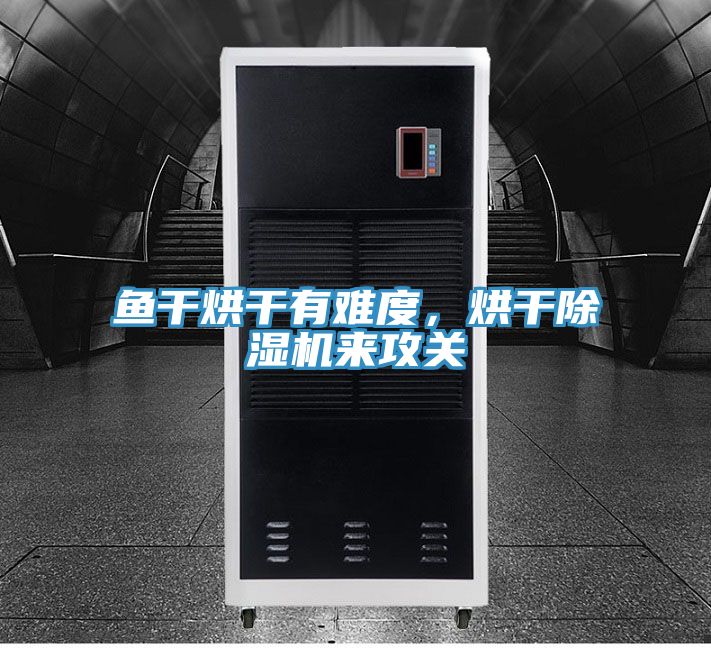 魚干烘干有難度，烘干除濕機(jī)來攻關(guān)