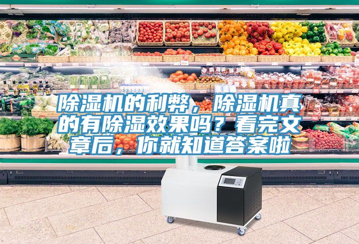除濕機(jī)的利弊，除濕機(jī)真的有除濕效果嗎？看完文章后，你就知道答案啦