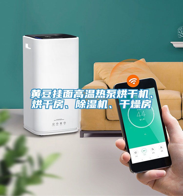 黃豆掛面高溫熱泵烘干機、烘干房、除濕機、干燥房