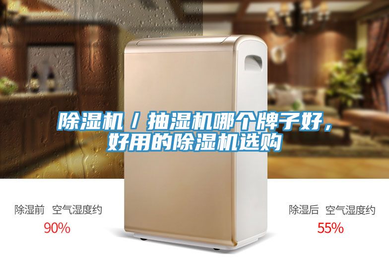 除濕機／抽濕機哪個牌子好，好用的除濕機選購