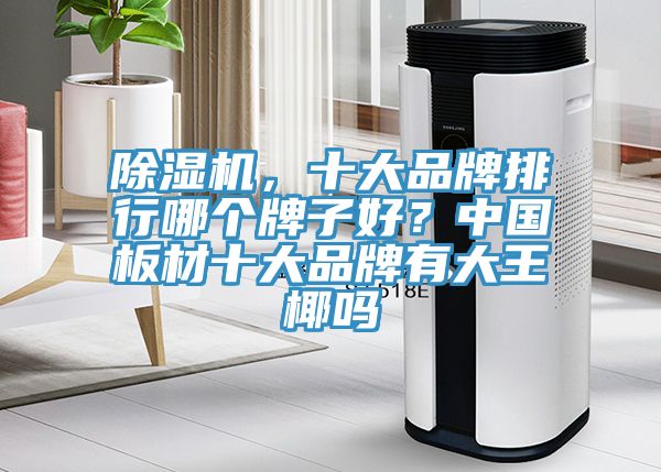 除濕機，十大品牌排行哪個牌子好？中國板材十大品牌有大王椰嗎