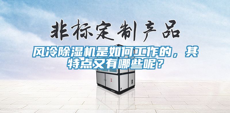 風(fēng)冷除濕機是如何工作的，其特點又有哪些呢？