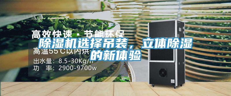 除濕機選擇吊裝，立體除濕的新體驗