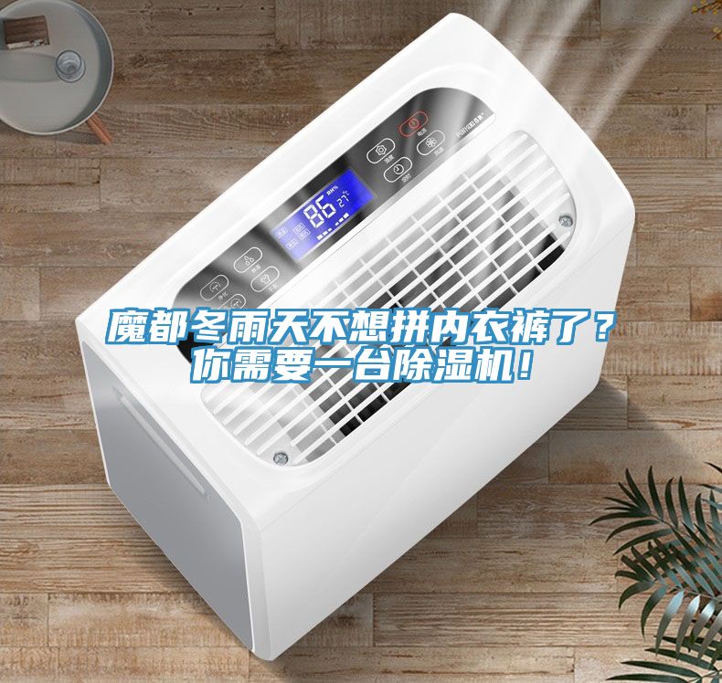 魔都冬雨天不想拼內(nèi)衣褲了？你需要一臺(tái)除濕機(jī)！