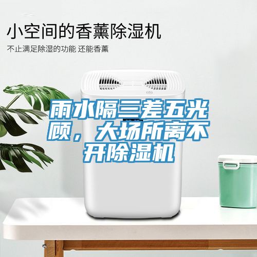 雨水隔三差五光顧，大場所離不開除濕機(jī)