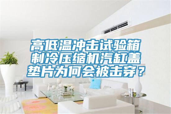 高低溫沖擊試驗箱制冷壓縮機汽缸蓋墊片為何會被擊穿？