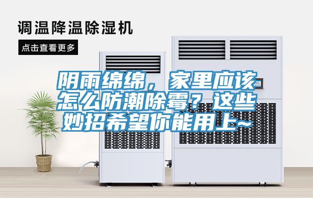 陰雨綿綿，家里應(yīng)該怎么防潮除霉？這些妙招希望你能用上~