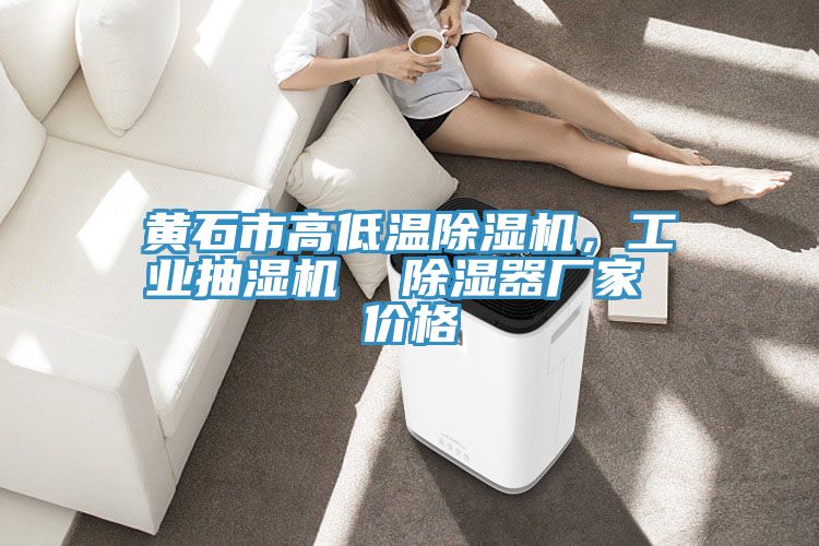 黃石市高低溫除濕機(jī)，工業(yè)抽濕機(jī)  除濕器廠家 價(jià)格
